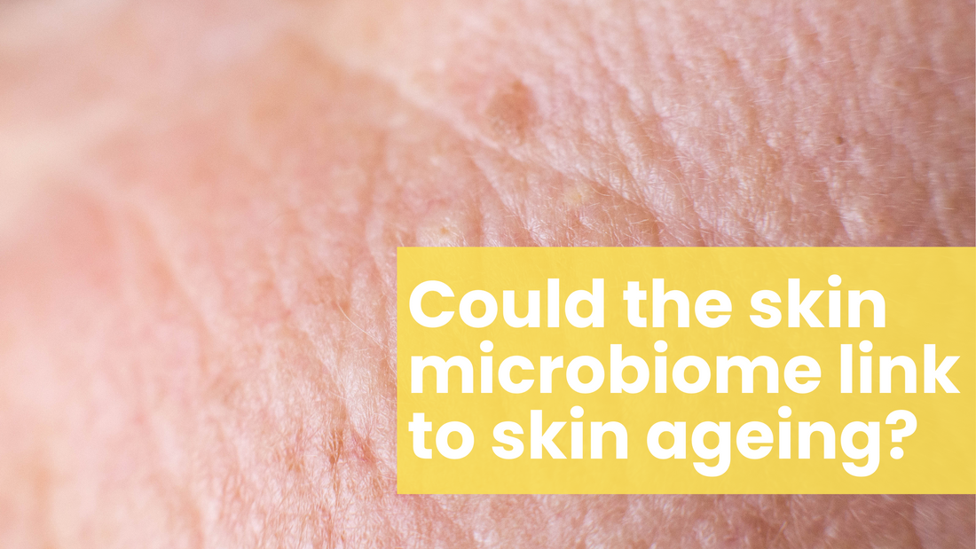 Could microbiomes link to skin ageing?